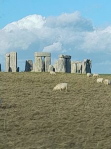 Sheep in the sun at Stonehenge